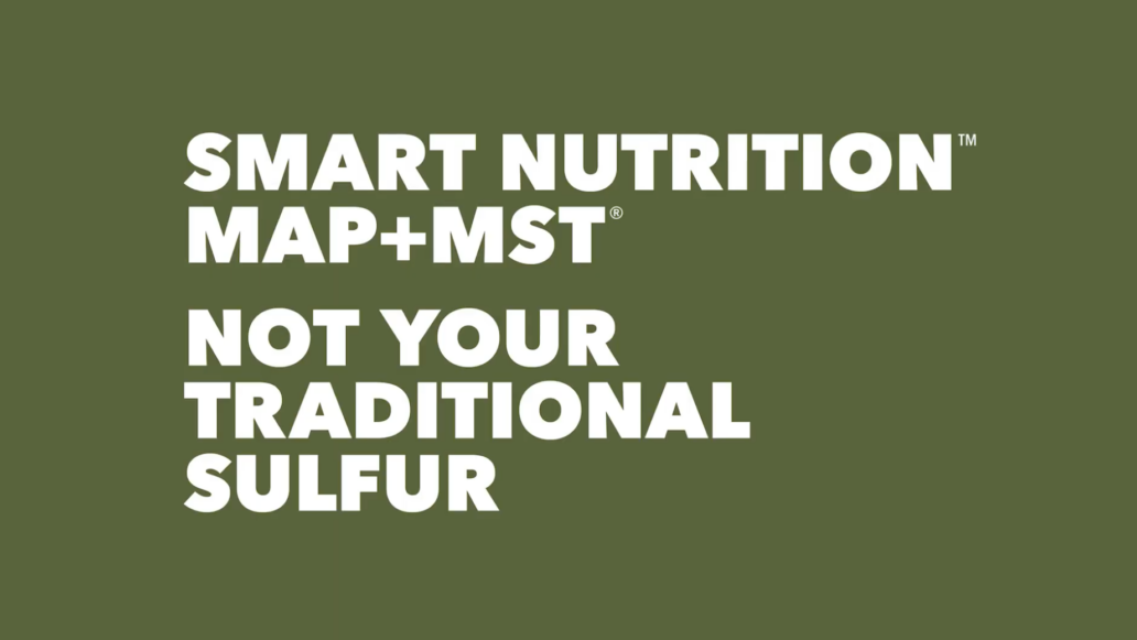 Smart Nutrition MAP+MST, Not your traditional sulfur.